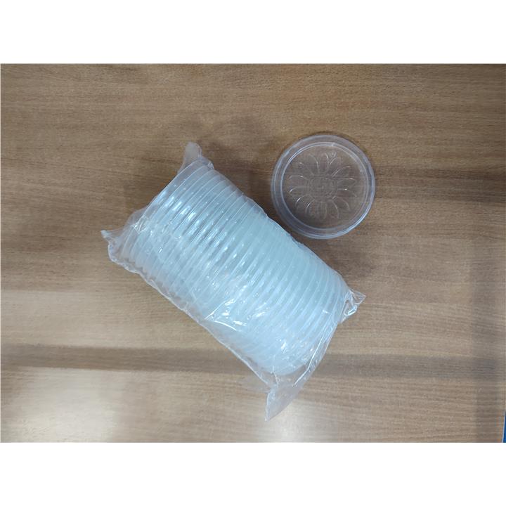Wieczko XPP SOUPs-102034