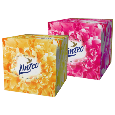 LINTEO chusteczki w kartoniku Premium 60-100386